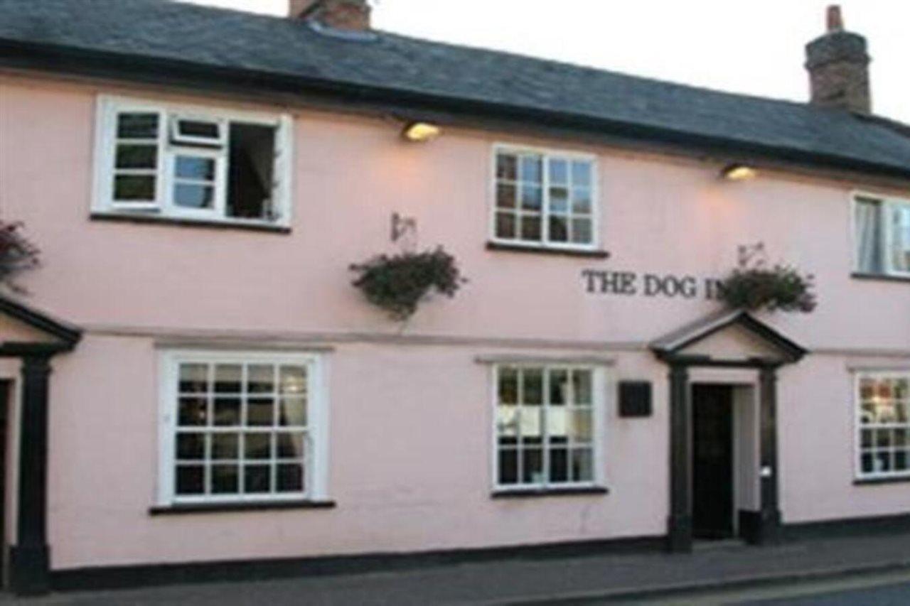 The Dog Inn Halstead  Dış mekan fotoğraf